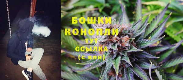 прущая мука Гусев