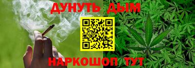 гидра Берёзовский