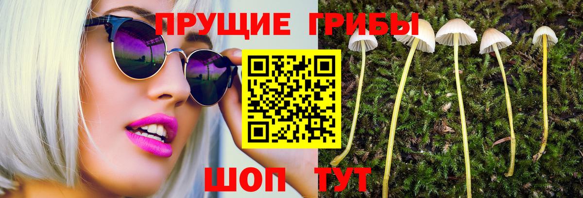 Галлюциногенные грибы MAGIC MUSHROOMS Вятские Поляны